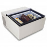 Table Top Model White Ice Cream Display Case opent van de klant kant